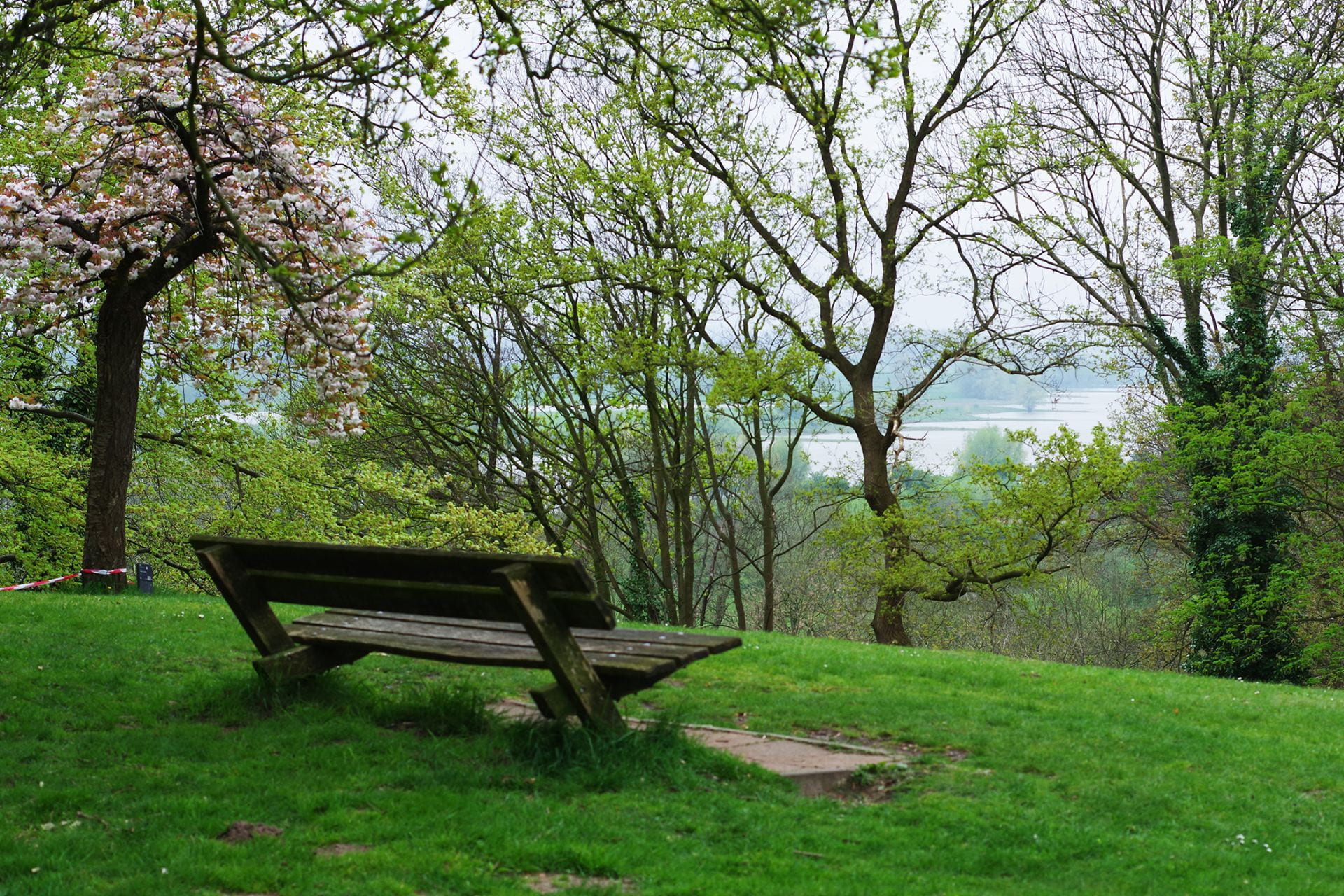 Photo of a park bench viewed from behind; the park bench overlooks trees with in the distance a river