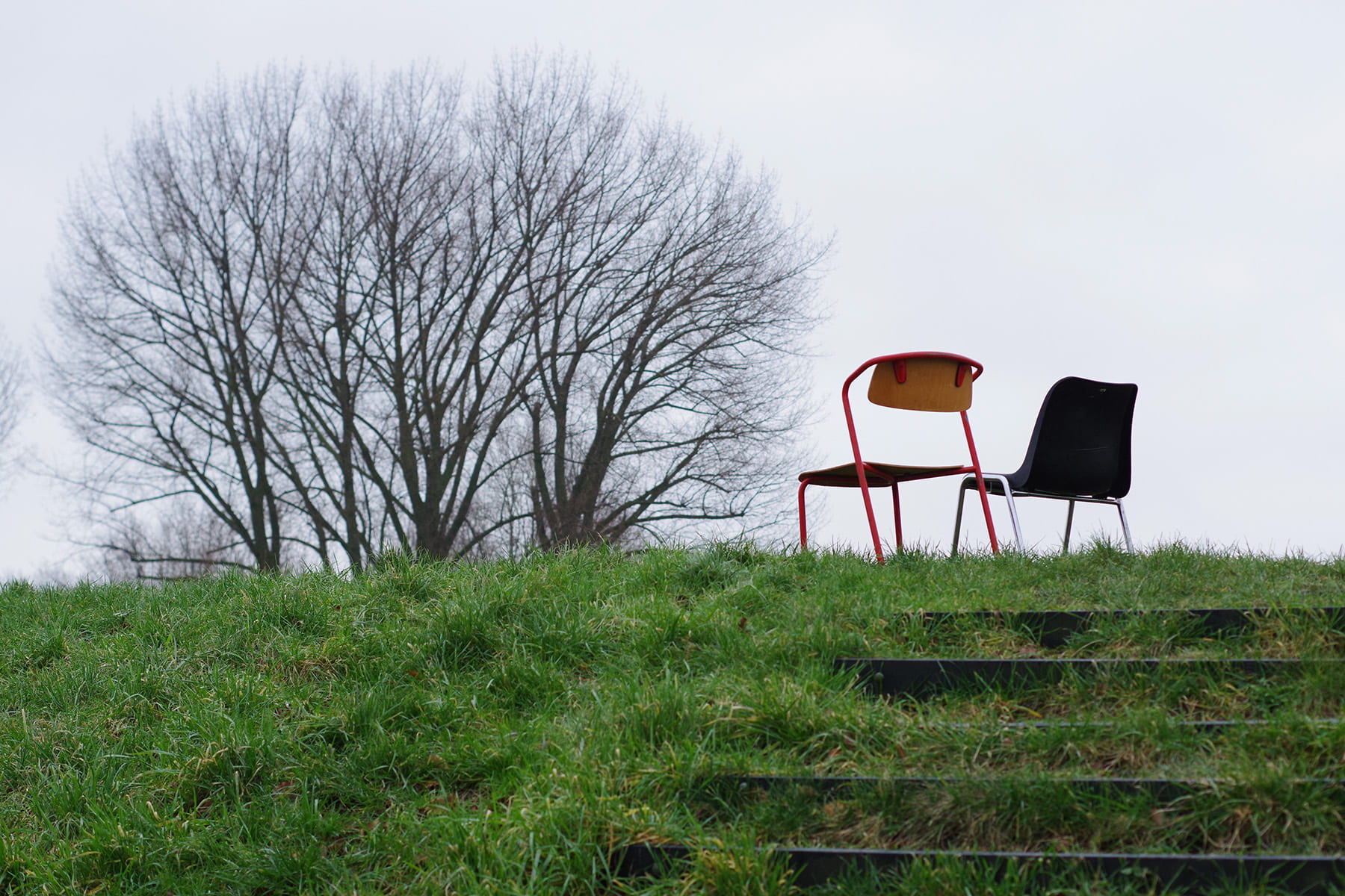 Photograph of two empty chairs on a hill facing two trees